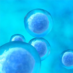 Picture of Biologics