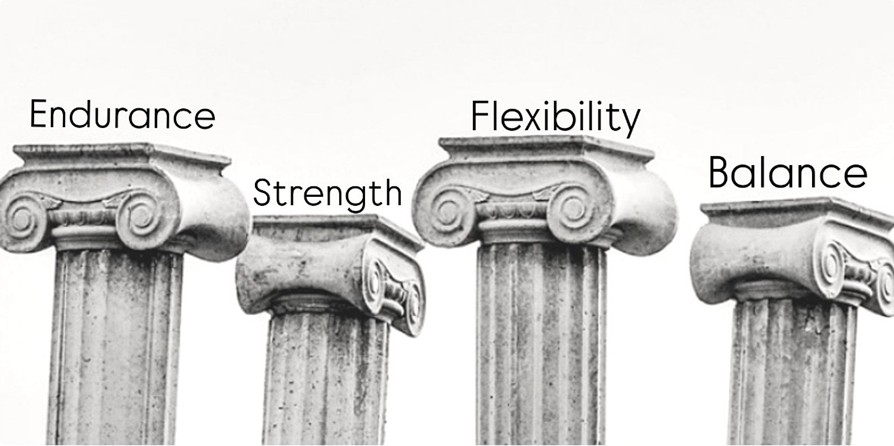 Picture of 4 Pillars of Exercise