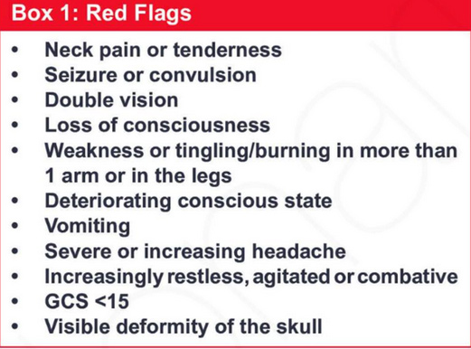 Red Flags