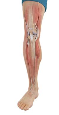 Physical Therapy pic