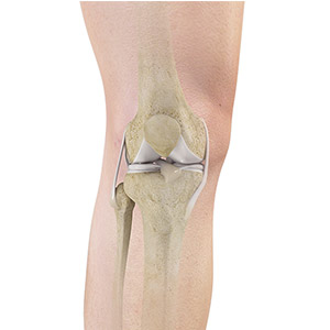 Picture of Topic Title