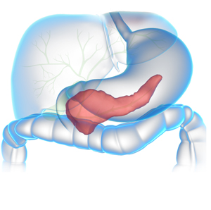 Pancreatic Surgery pic