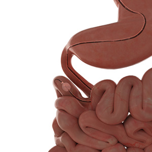 Picture of Single Balloon Enteroscopy