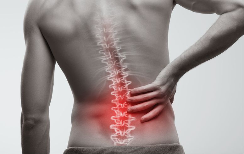 Spine