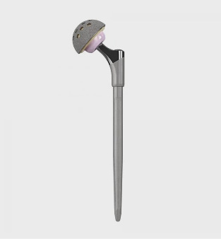 Surgical Revision Hip pic