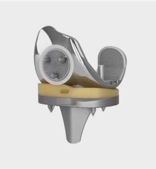 Surgical EMPOWR Porous Knee  pic