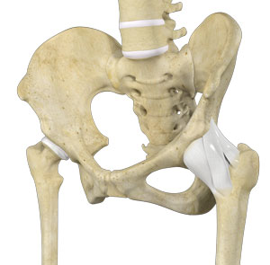 Hip Ligament Injuries pic