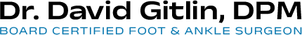 david gitlin Logo