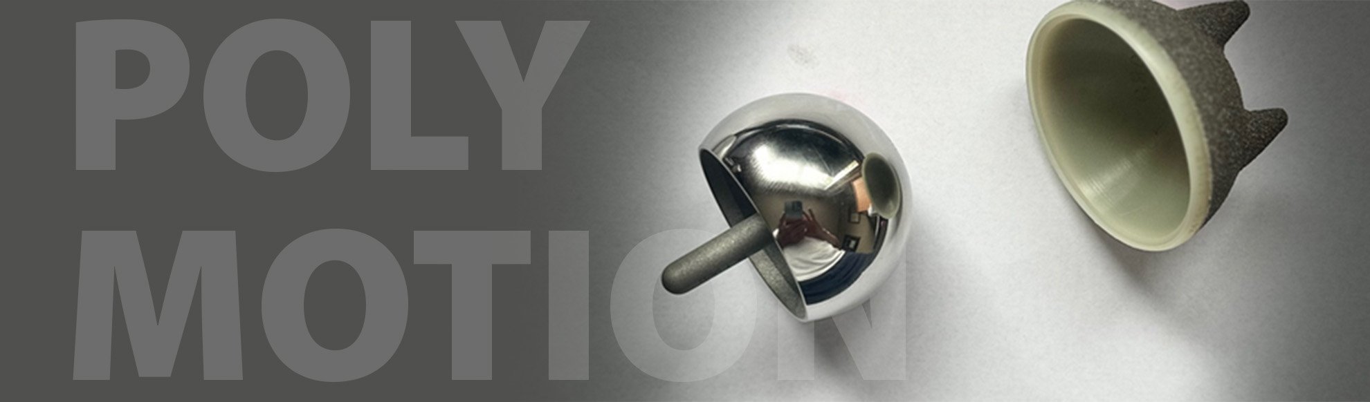 Picture of Polymotion Hip Resurfacing (HR) Device