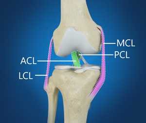 Multiligament Knee Injuries pic