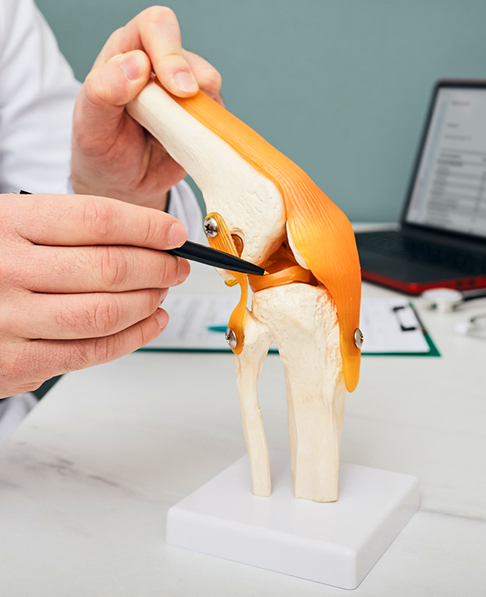 Traditional Knee Replacement Img