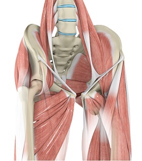Hamstring Tendon Tear