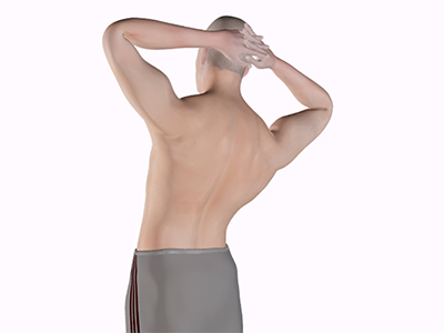 Back Pain Exercises - Educational Photo