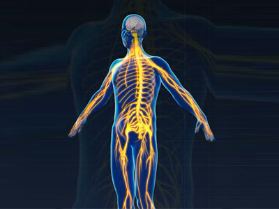 Complex Regional Pain Syndrome - Educational Photo