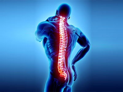 Neck and Back Injuries - Educational Photo