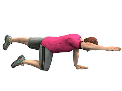 Spine Rehabilitation - Educational Photo