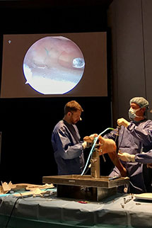 Orthopaedic Consulting Sb2