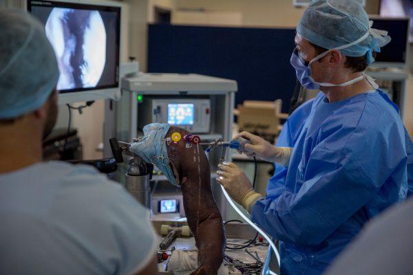 Orthopaedic Consulting Sb4