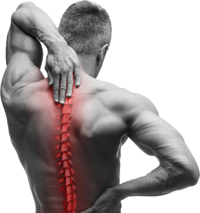 Spine Related Pic