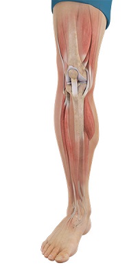 Physical Therapy pic