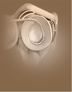 Shoulder Stabilization - Specialties