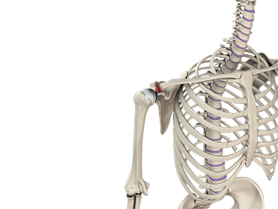 Acromioclavicular (AC) Joint Injuries