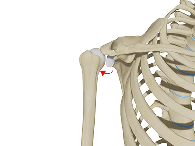 Posterior Shoulder Instability