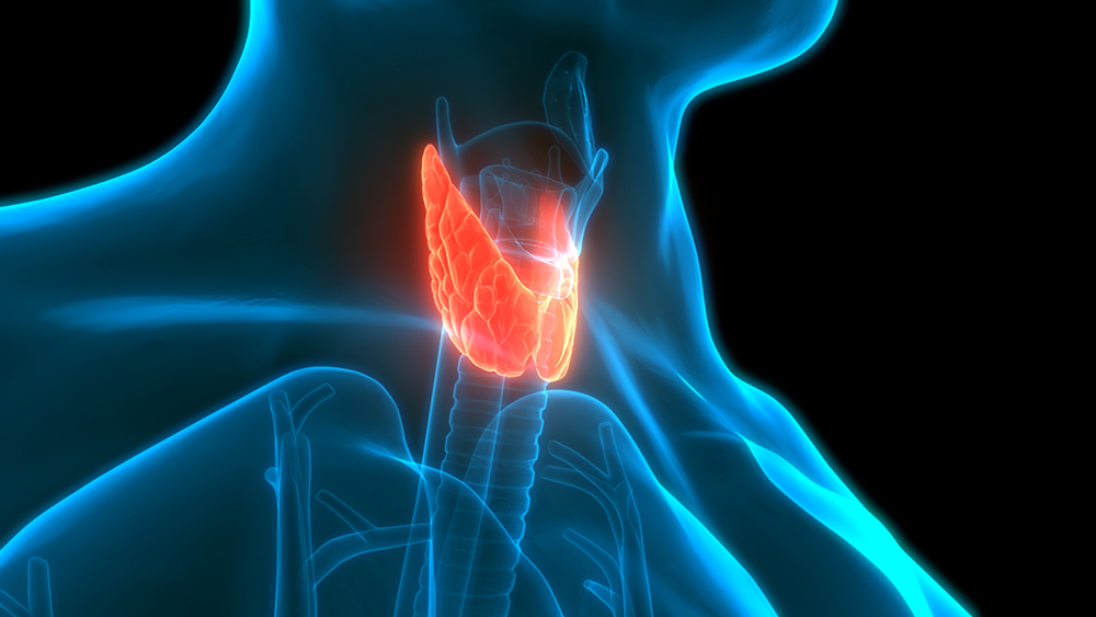 Thyroid Disorders Images
