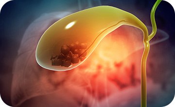 Bikini Line News Images