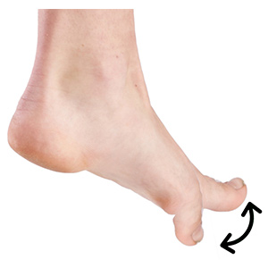 Picture of Toe Exercises