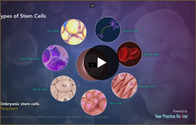 Bone Marrow Derived Mesenchymal Stem Cells - Video Picture