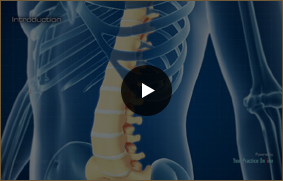 Spine Anatomy - Video Picture