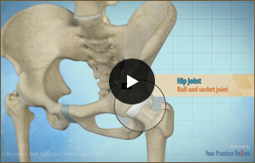 Ultrasound Guided Hip Injections - Video Picture