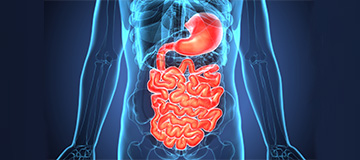 Gastric Disease icon