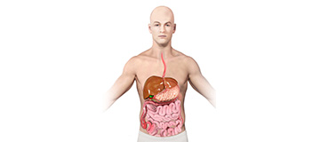 Irritable Bowel Syndrome icon