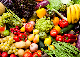 Personalized Coaching2