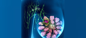 Sentinel Node Biopsy icon