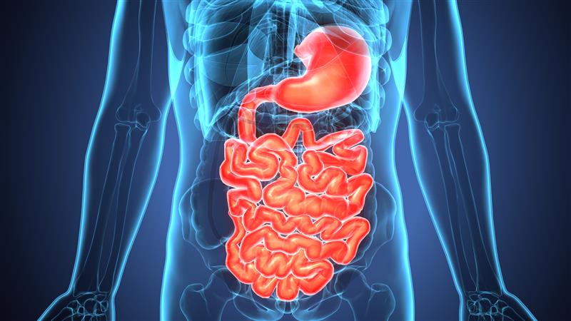 Digestive Disorders