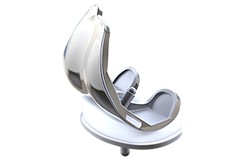 Picture of Knee Implants for Women