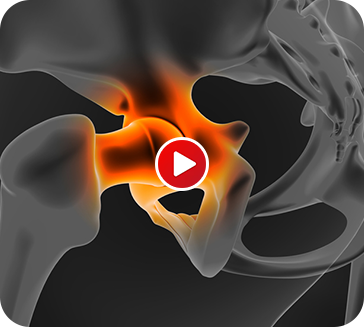 Education Videos Img