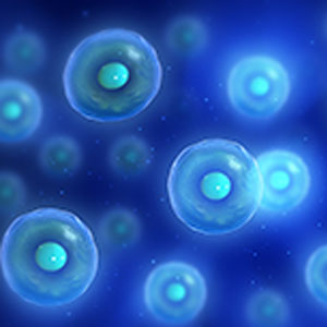 Stem Cell Therapy - Educational Photo