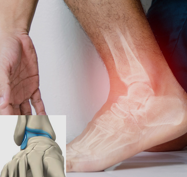 Bio-Cartilage Images