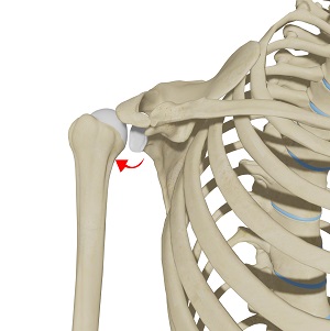 Posterior Shoulder Instability pic