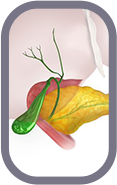 Gallbladder & Biliary Disease Img