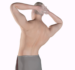 Back Pain Exercises Images