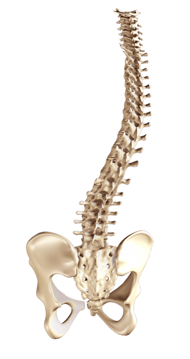 Spine Deformities Images