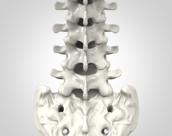 Lumbar Images