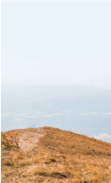 Banner Pic Left 1
