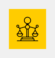 Picture of Medical Legal Expert Icon