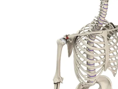 Acromioclavicular (AC) Joint Injuries Images